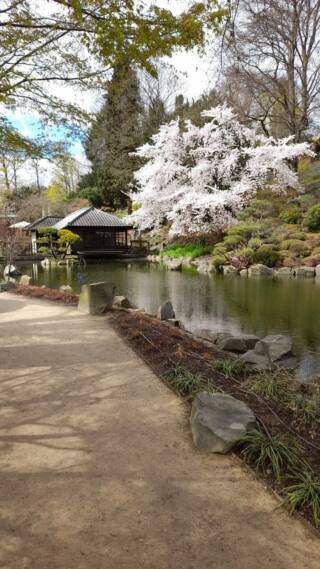 Japanischer Garten Kaiserslautern e. V.